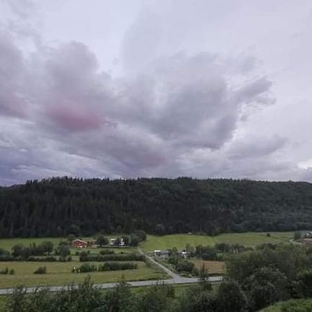Apartamento Skogan Leirfjord Exterior foto