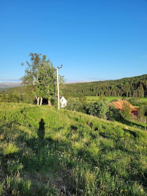 Apartamento Skogan Leirfjord Exterior foto