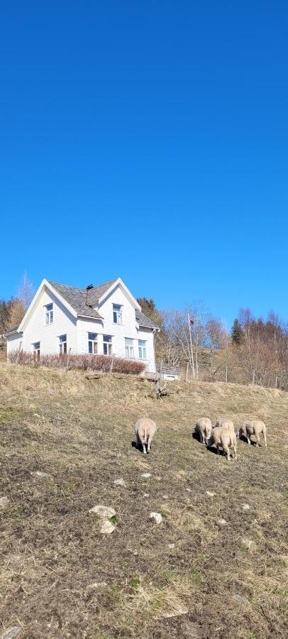 Apartamento Skogan Leirfjord Exterior foto